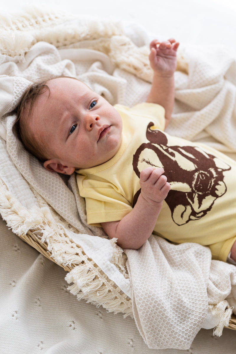 Baby Gift Box | Organic Cotton Two Piece with Cow Print Onesie