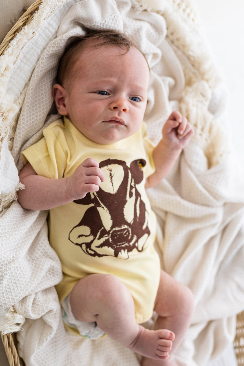Baby Gift Box | Organic Cotton Two Piece with Cow Print Onesie