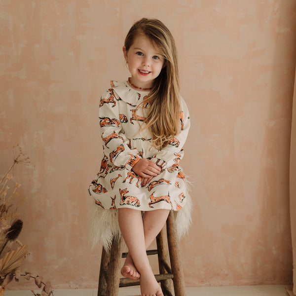 Organic Cotton Dress For Kids | Fawn