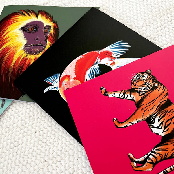 Fauna.ie greeting cards with animal illustrations