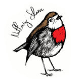 'Nollaig Shona' Robin Christmas Card