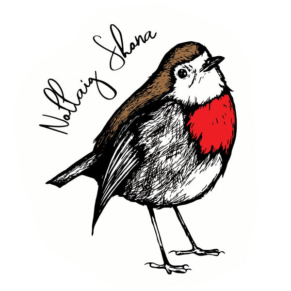 'Nollaig Shona' Robin Christmas Card