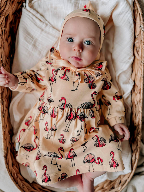 Organic Cotton Dress For Kids | Flamingo Print
