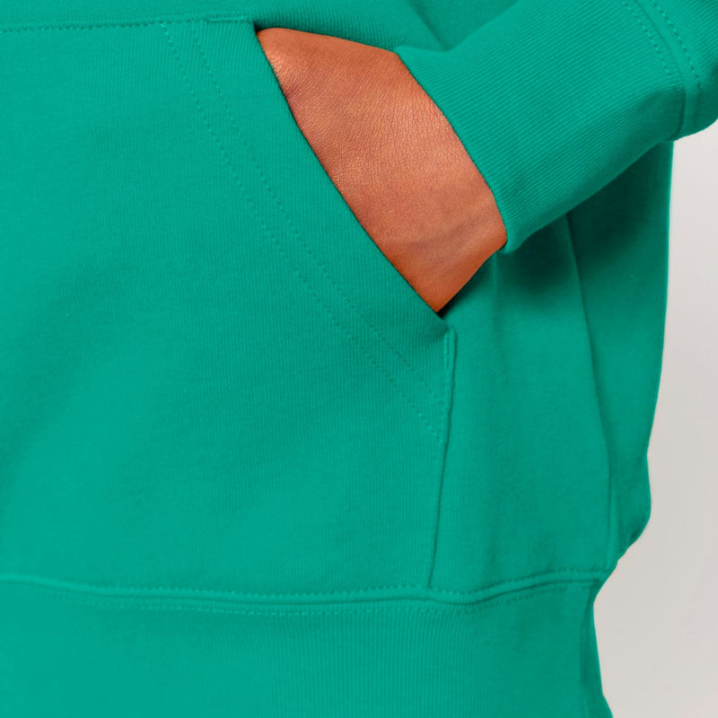 Organic Cotton Kids Hoodie | Tiger on College Green - Fauna Kids