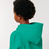 Organic Cotton Kids Hoodie | Tiger on College Green - Fauna Kids