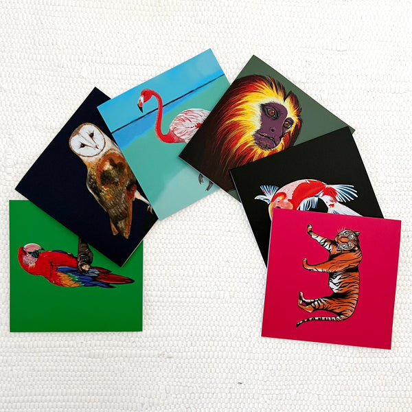 Fauna.ie greeting cards with animal illustrations