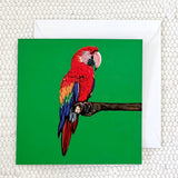 Parrot Greeting Card | Made in Ireland | fauna.ie