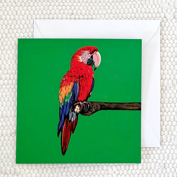 Parrot Greeting Card | Made in Ireland | fauna.ie