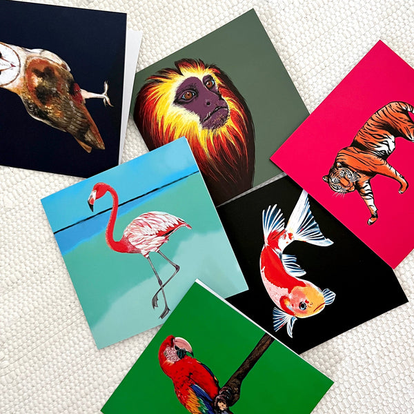 Fauna.ie greeting cards with animal illustrations